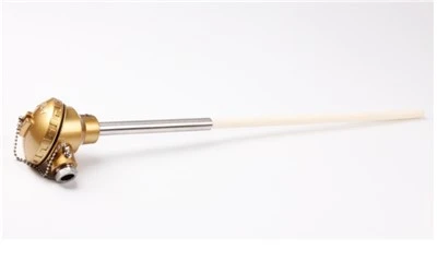 Termocuple de rodiu de platină 130 de tip ne -fix